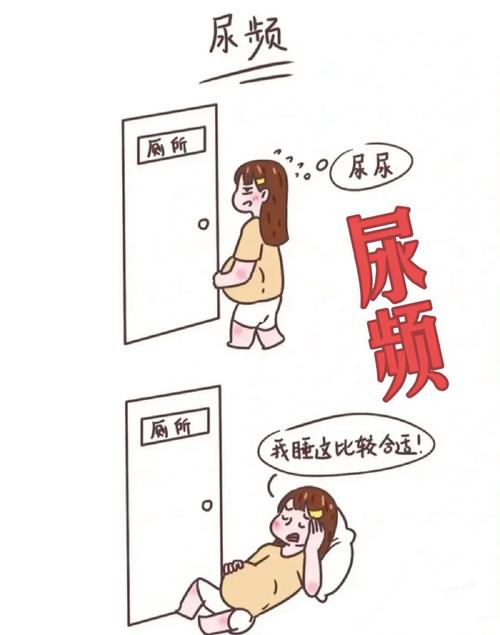 试管代怀助孕早期老想小便